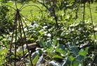 Winifredlandscape-gardener-26.jpg; ?>