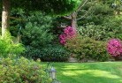 Winifredlandscape-gardener-46.jpg; ?>